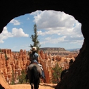 Canyon Trail Rides - Amusement Places & Arcades