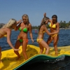 Key West Aqua Lily Pad gallery
