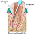 Beavercreek Endodontics Associates - Endodontists