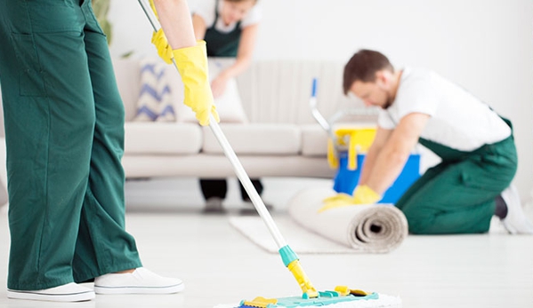 Dragonfly Cleaning - Beecroft, NSW