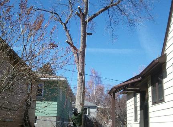 Montana Tree Care - Billings, MT