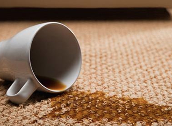 WB Carpet Cleaning - West Bloomfield, MI