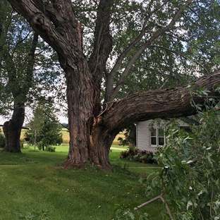 William's Tree Service - Baraboo, WI