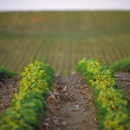 CHS Prairie Lakes - Agricultural Seeding & Spraying