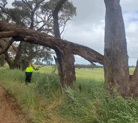 Hilltops Vegetation Services - Young, NSW