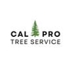 California Professional Tree Service gallery