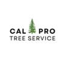 California Professional Tree Service - Stump Removal & Grinding