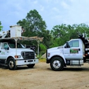 Andy's Tree Service - Tree Service