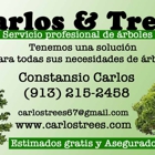 Carlos & Trees