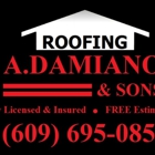 A Damiano & Sons Roofing