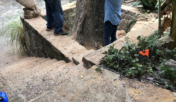 Big Bird Tree Service - Dallas, TX. Stump Removal & Grinding