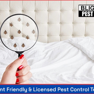 Bligh Park Pest Control - South Windsor, NSW. Environment Friendly & Licensed Pest Control Technicians