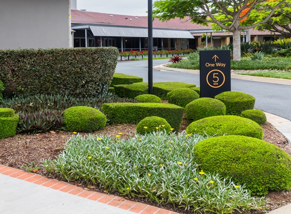 Evolve Gardens & Landscaping - Ballina, NSW