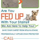 Jeffy Carpet Cleaning Cypress