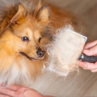 S&G Mobile Orlando Pet Groomers