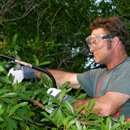 America's Tree Service - Tree Service