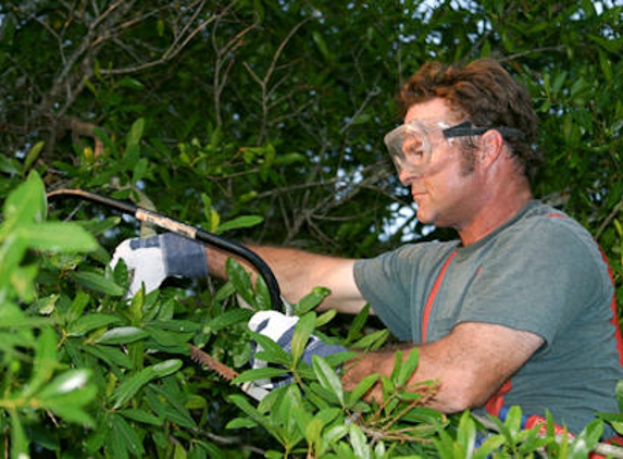 America's Tree Service - Ferris, TX