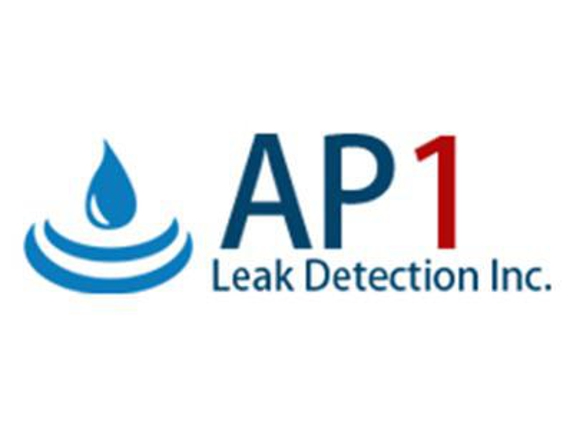 AP1 Leak Detection Inc