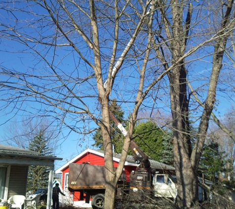 Pfister Tree Service ,LLC - Auburn, IN