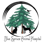 Blue Spruce Animal Hospital