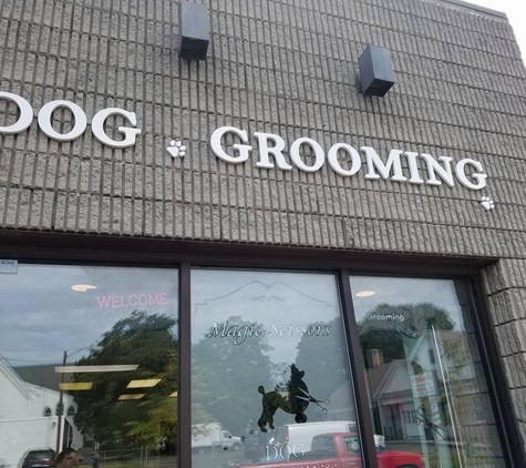 Magic. Scissors dog grooming - Norwalk, CT