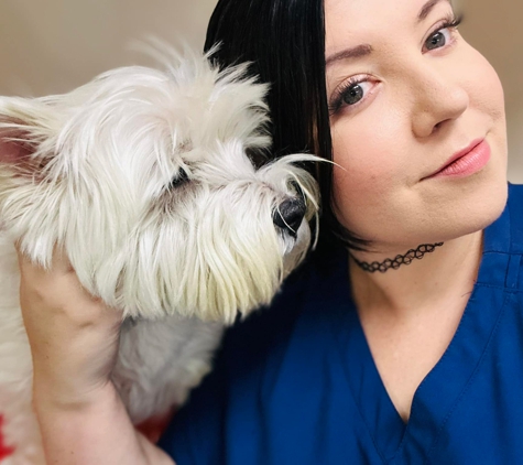 Lorn Veterinary Clinic - Lorn, NSW
