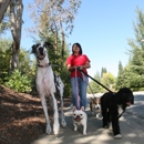 Fetch! Pet Care - Pet Sitting & Exercising Services