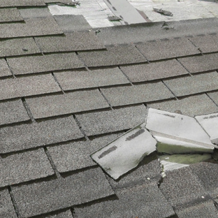 Ladder Labor & Roof Saver
