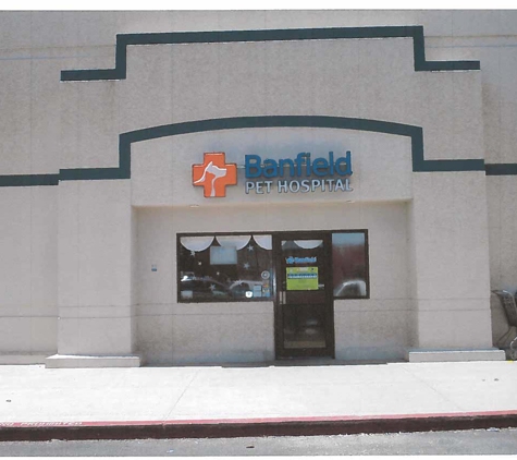 Banfield Pet Hospital - Mcallen, TX