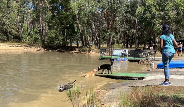 Alfoxton Dog Centre - Heathcote Junction, VIC