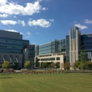 Duke University Hospital: Emergency Room - Physicians & Surgeons, Pediatrics-Hematology & Oncology