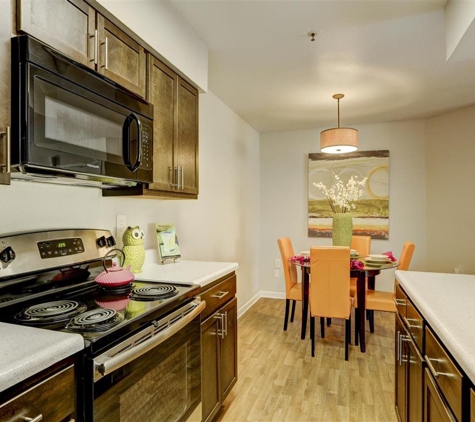 Ascent Apartment Homes - Denver, CO