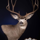 Mountain Man Taxidermy - Taxidermists