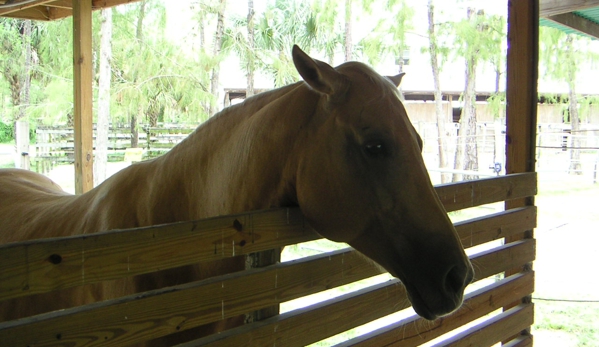 Everglades Ranch - Naples, FL