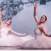Texas Youth Ballet Conservatory gallery