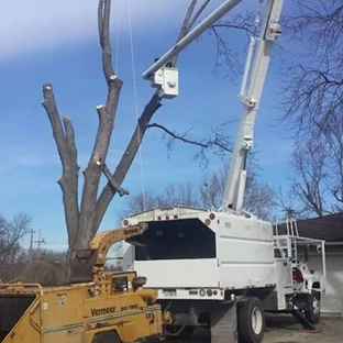 Johnke Tree Service - Coal City, IL