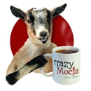 Crazy Mocha - Coffee Shops