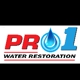 Pro 1 Water Restoration