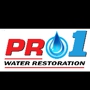 Pro 1 Water Restoration