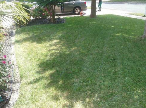 David's Lawn Care Service - Austin, TX