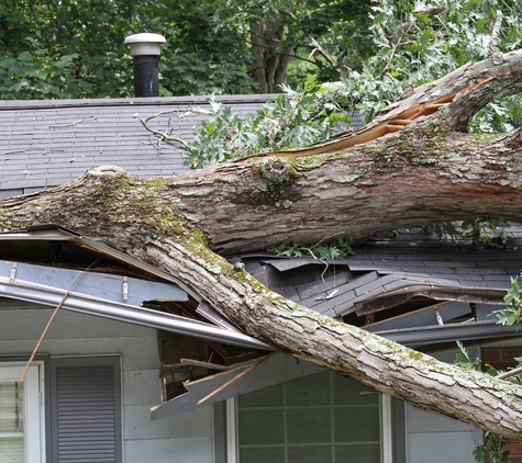 Best Quality Roofing and Chimney Inc - Shirley, NY