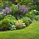 Elevated Landscape Maintenance - Landscaping & Lawn Services