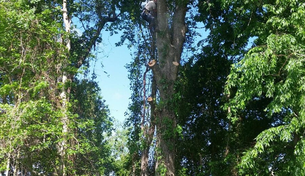 L & L Tree Service - Jacksonville, NC