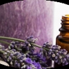 Cathy's Essential Oils gallery