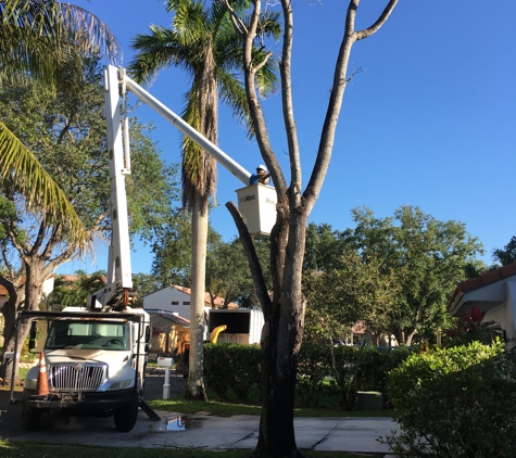 Affordable Tree Service, Inc. - Miami, FL