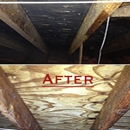 In-Door Air Quality Consultants - Water Damage Restoration