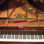 Gallery Image Number 2