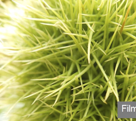 Fujifilm Australia Pty Ltd - Adelaide, SA