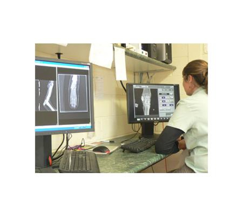 Moruya Veterinary Hospital - Moruya, NSW