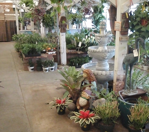 Moneta Nursery Inc. - Gardena, CA